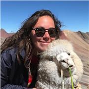 Etudiant bilingue espagnol